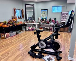 Fitness Bike, Large Mirror, Halloween, Posters, Chess Board and Poster.