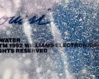 1993 White Water by Williams