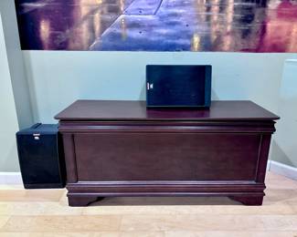 JBL Speakers (We have 3 of these)