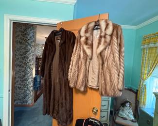 . . . a pair of Dittrich furs