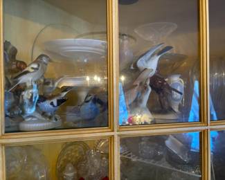 . . . beautiful birds