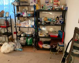 Medical care and personal care