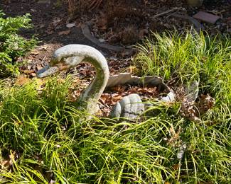 Swan planter located in the front yard