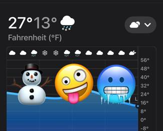 During our typical Saturday sales , we have strong guys that help you load your car, because of the date change to Friday Jan. 30. there will be no one to help you load heavy items, please come prepared!
