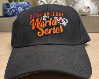 2014 MSBL - MABL
27th World Series Arizona