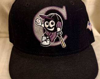 Vintage Potomac Cannons 
Fitted New Era 5950 Wool Cap
Minor League Baseball Team