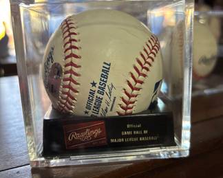 Official Game Baseball