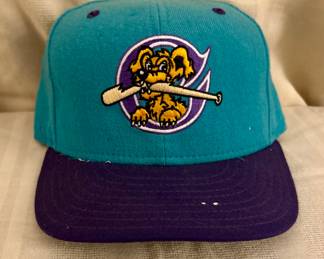 Vintage Charleston Riverdogs Baseball Cap (New Era 5950 Wool Cap)
Minor League Baseball Team 