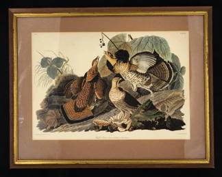 J.J. Audubon, Ruffled Grouse, PLATE XLI, NO. 9. Digital Print