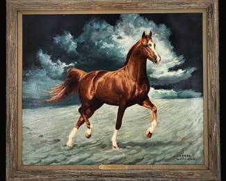 Lawrence Williams 1913-2003 Oil On Canvas Arabian Stallion Horse "Muscat"