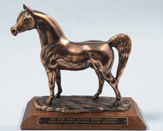 2004 Unsigned Sport Horse National Reserve Champion Trophy