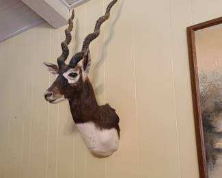 att.5v9s5qQQDuuXszD JYb5JU69 Bd9ge0VuIDd6dnegJU