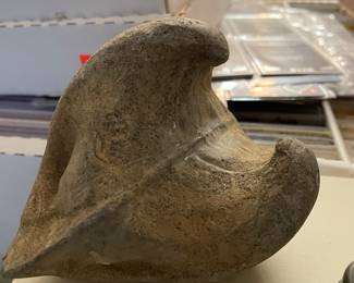 $250.00. This appears to be a fossilized bone fragment, specifically identified as likely a specimen from a member of the whale family Balaenopteridae.
The fossil has a worn, natural appearance consistent with ancient bone preservation.
It is likely from an extinct species, as the family dates back to at least the Late Miocene.