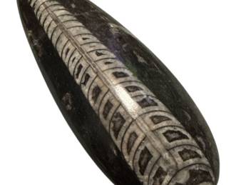 Orthoceras Fossil in Black Marble Matrix