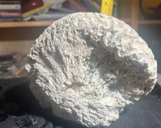 THIS "BRAIN" IS INCASED IN CERAMIC MATERIAL BY ANOTHER ONE OF OUR ARTISTS... 