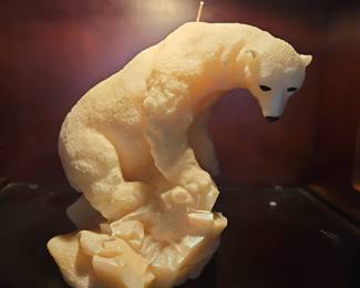 Fun Fact:
Polar bears don’t look white to other animals. Their fur is actually transparent and hollow, and their skin underneath is black. Even cooler? In infrared light, polar bears blend in with the snow almost perfectly... meaning seals can’t easily see them coming… but thermal cameras can’t either. Nature basically gave them built-in stealth mode. I bet you didn’t know you'd learn something new on Estatesales.net did ya?