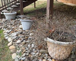 Large cement planters
