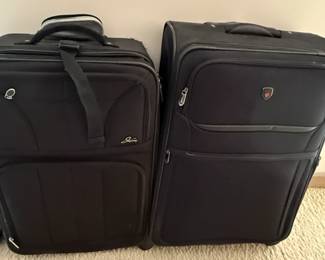 Skyway and TLC Luggage
