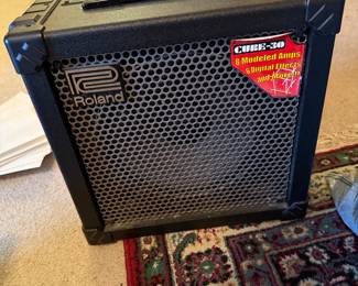 Roland Cube-30 amplifier 