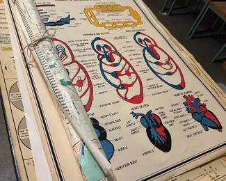 vintage posters and maps