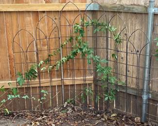 Vine rack