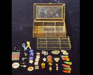 Assorted pins brooches with vintage jewelry box
