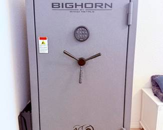 Bighorn large safe