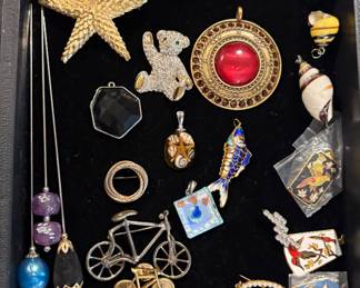 Pins and brooches