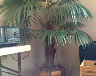 Potted Faux Palm Tree