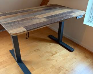 $250  Vari Electric Adjustable Standing Desk, wood plank top.  48" x 30". 