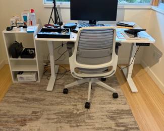 $148. West Elm Platinum Copper rug. 5' x 8'.  Originally $499.  as found issue in next photo.  