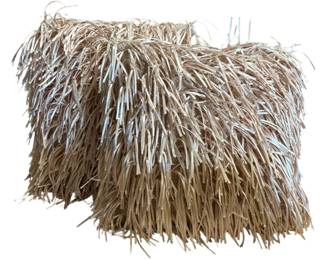 Bebe Blush Pink Fringe Pillows 