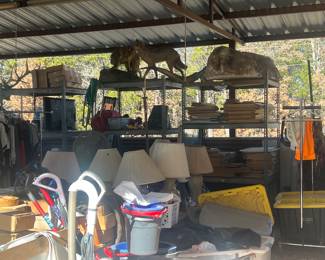 Laps $3.00, taxidermy items 