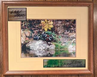 Thomas Mangelsen signed and numbered photography professionally framed wall art “ Harlequin Romance”