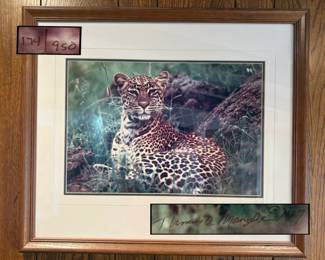 Thomas Mangelsen signed and numbered photography professionally framed wall art “African Nightfall” 