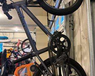 Priority Start 20" (fantastic belt drive lightweight kid bike - easy to learn on)