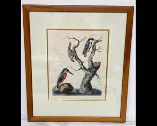 Lot 9875 Thomas Pennant The British Zoology Hand colored Antique Art Print