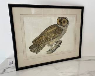Lot 9793 John Edward Gray  Antique Chinese Owl Lithograph Art Print