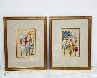 Lot 9874 Floral Irises Botanical Art Prints