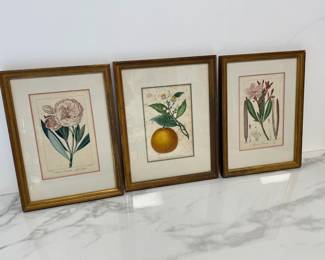 Lot 9804 Antique Botanical Art Prints