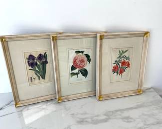 Lot 9802 Antique Floral Botanical Art Prints