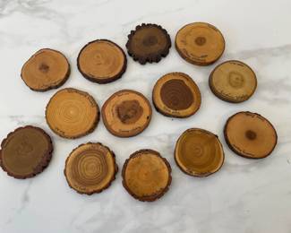 Lot 9799 Natural Wood Lacquered Tree Slice Coasters  Each Labeled with Wood Type