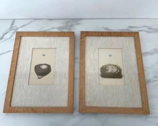 Lot 9792 Antique Bird Nest and Egg Art Prints