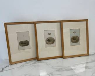 Lot 9811 Handcolored Woodblock Art Prints  British Birds Nest and Egg
