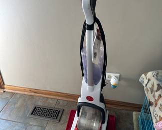 Hoover carpet cleaner....