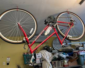 Parkway Diamondback women's bike