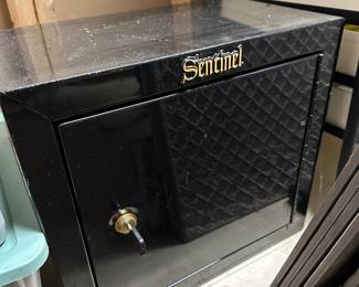 Sentinel safe