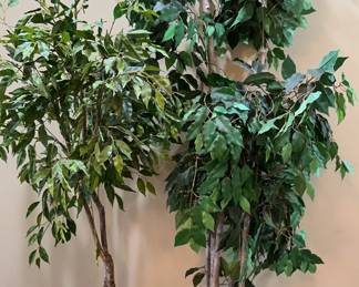 FCFFB54hot springs online auction1F0444A0BEhot springs online auction4DAE53hot springs online auction9D8hot springs online auctionCF