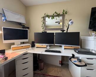 Double monitor with monitor desk mounts 