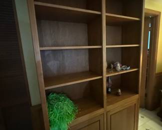 Bookshelves with cabinets